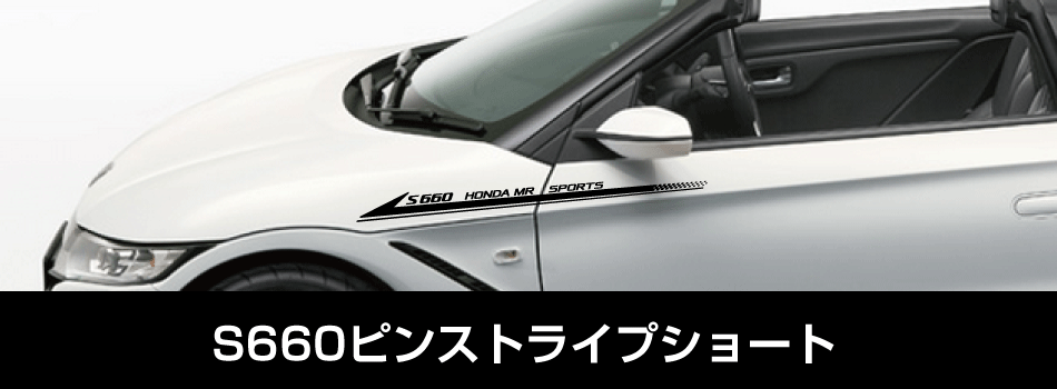 S660ピンストライプショート